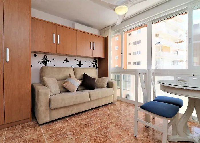 Virginia 6-3 * 베니돔